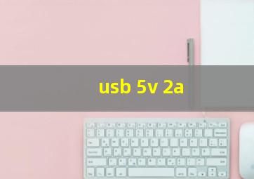 usb 5v 2a